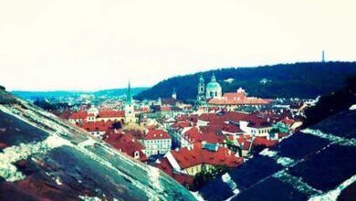 Half Moon Yoga and Art Blog Half Moon Yoga and Art Blog