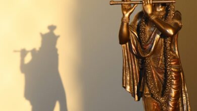 His-Story Unfolding: Discovering Dharma in the Midst of Chaos