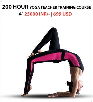 Yoga Certification Course in Rishikesh India Yoga Certification Course in Rishikesh India