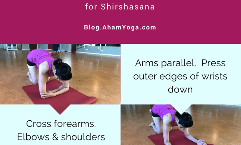 The correct base for Shirshasana