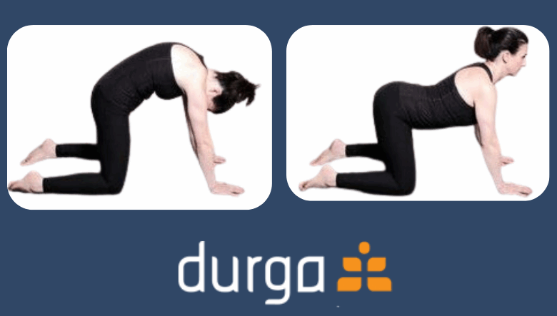 Yoga Poses For Beginners Yoga Poses For Beginners