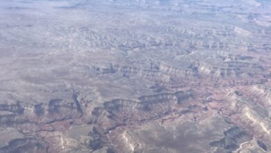 My time at the Sedona Yoga Festival My time at the Sedona Yoga Festival