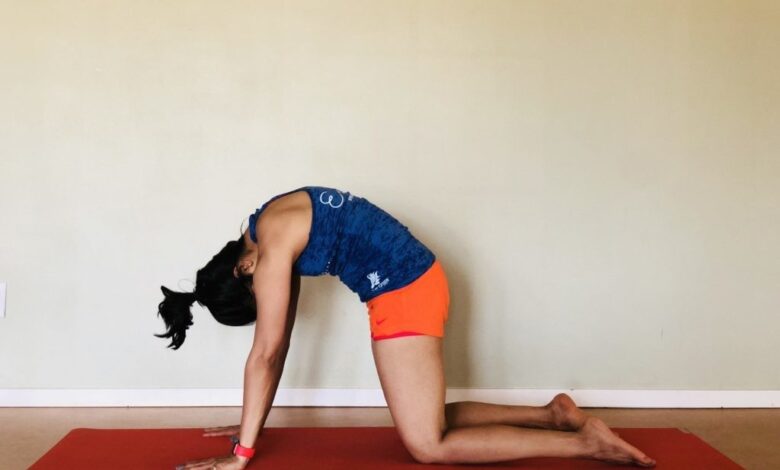 Top 5 yoga poses for beginners