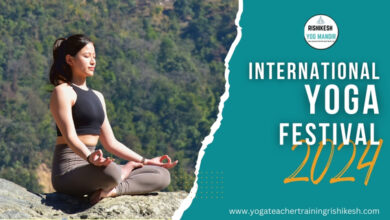 International Yoga Festival 2024: Celebrating Unity and Wellness