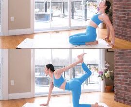 Morning Slow Flow Full Body Stretch