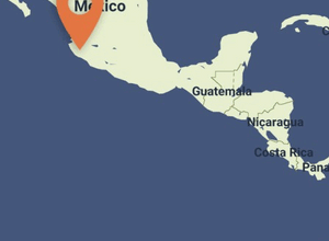 Connect Wild Lands for Wild Cats
– Kati Kaia Connect Wild Lands for Wild Cats
– Kati Kaia