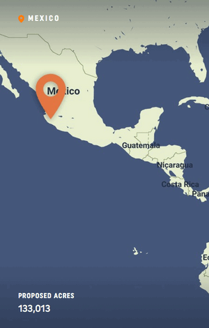 Connect Wild Lands for Wild Cats
– Kati Kaia Connect Wild Lands for Wild Cats
– Kati Kaia