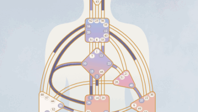 How to connect deeply to your intuition and inner knowing
– Kati Kaia