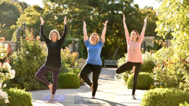 6 Elements that Keep Us Upright