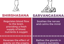 The Benefits of Being Inverted