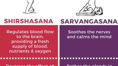 The Benefits of Being Inverted The Benefits of Being Inverted