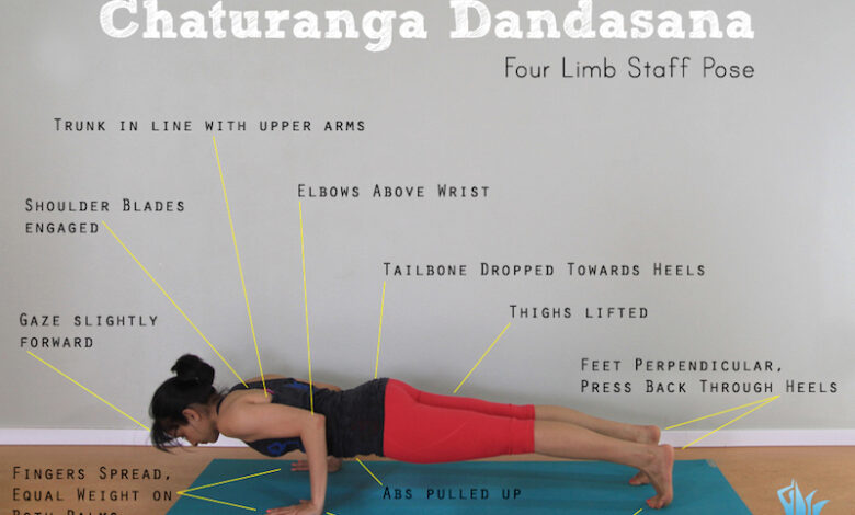 Chaturanga Dandasana (Four limb staff pose)