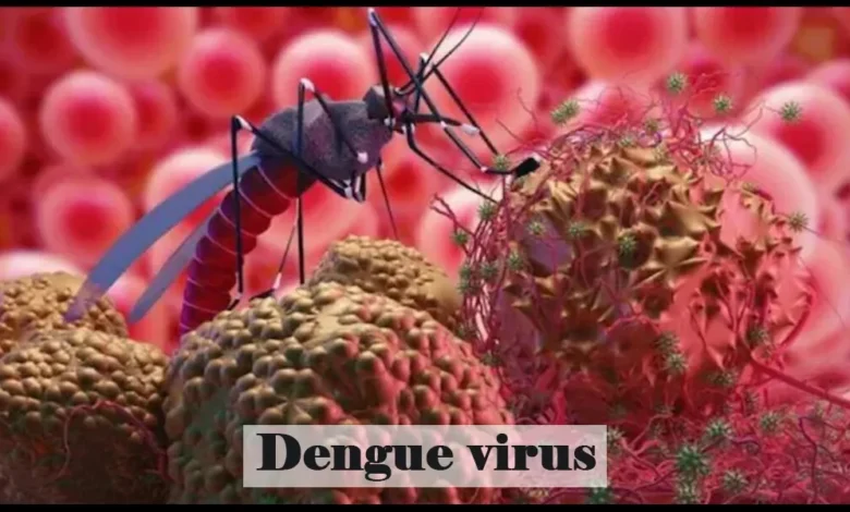Dengue Virus | Fumigation Blog