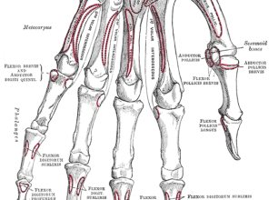 What You Need to Know – Rachel Scott What You Need to Know – Rachel Scott