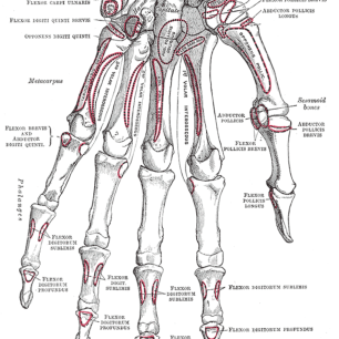 What You Need to Know – Rachel Scott