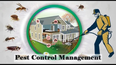 Pest Control Management | Fumigation Blog Pest Control Management | Fumigation Blog