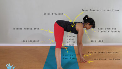 Prasarita Padottanasana (Standing wide leg forward fold)