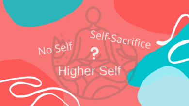 What is The Truth About Who We Are? What is The Truth About Who We Are?